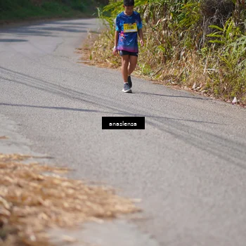 Runner Photo 5320850
