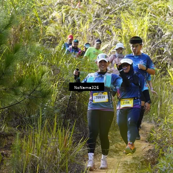 Runner Photo 5320889