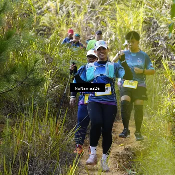 Runner Photo 5320892