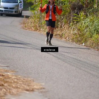 Runner Photo 5321197