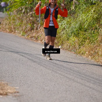 Runner Photo 5321203