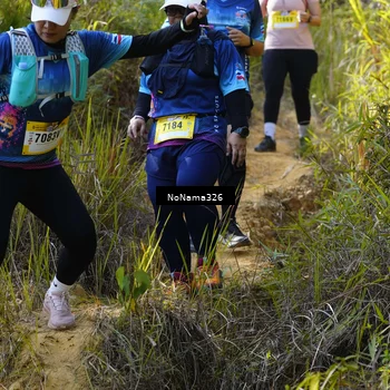 Runner Photo 5321450
