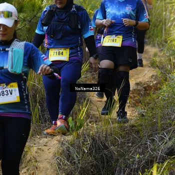 Runner Photo 5321456