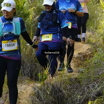 Runner Photo 5321460