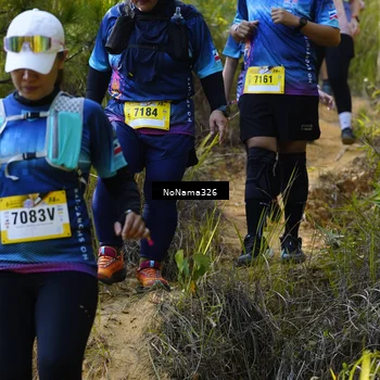 Runner Photo 5321464