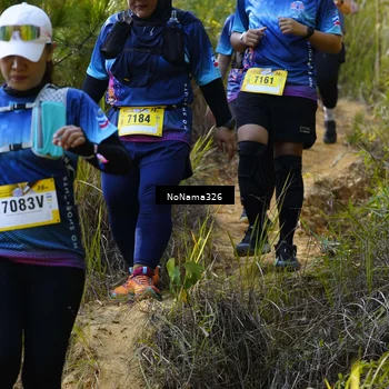 Runner Photo 5321465