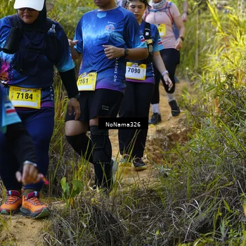 Runner Photo 5321467