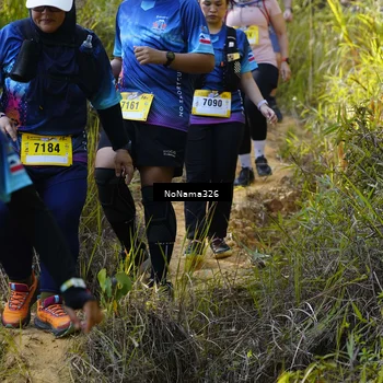 Runner Photo 5321473