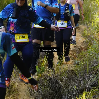 Runner Photo 5321474