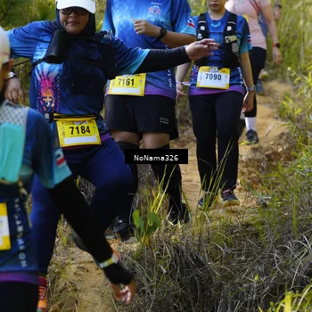 Runner Photo 5321481