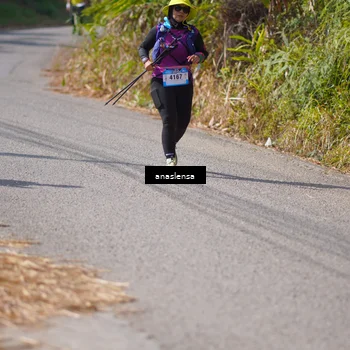 Runner Photo 5321630