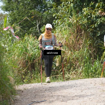Runner Photo 5321649