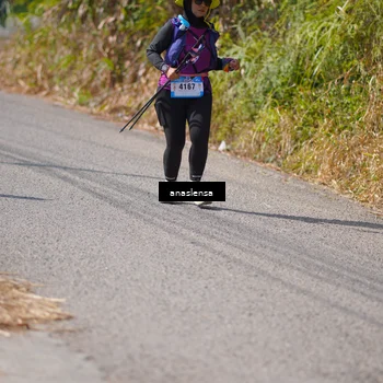 Runner Photo 5321671
