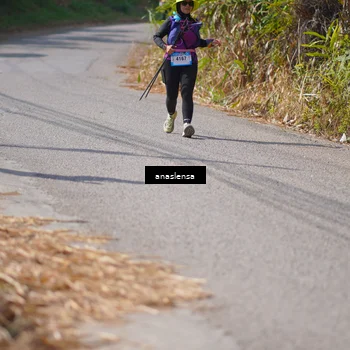 Runner Photo 5321690