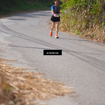 Runner Photo 5321786