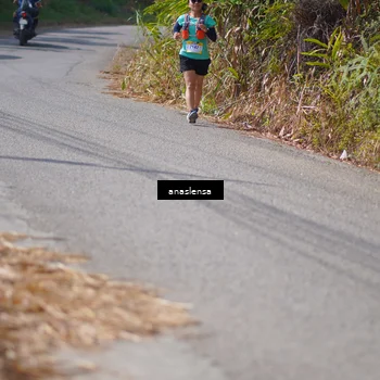 Runner Photo 5322491