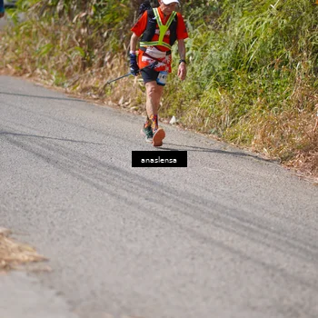 Runner Photo 5322750