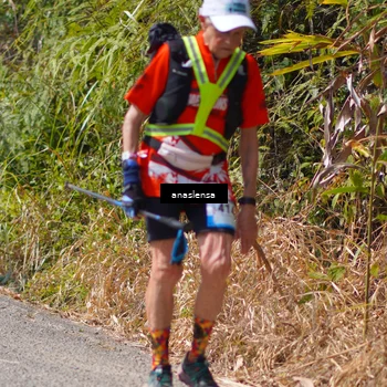 Runner Photo 5322875