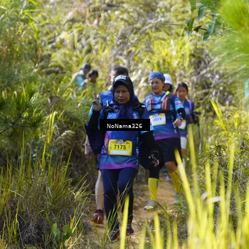 Runner Photo 5322917
