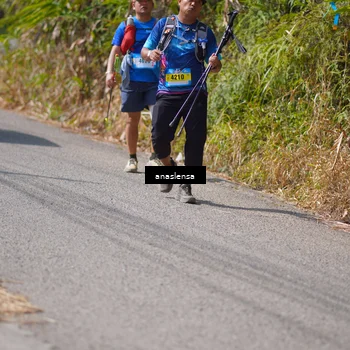 Runner Photo 5322966