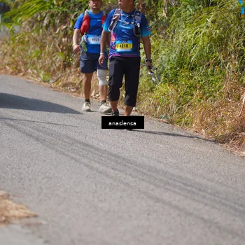 Runner Photo 5322976