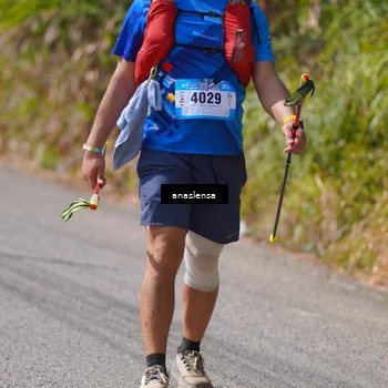 Runner Photo 5323120