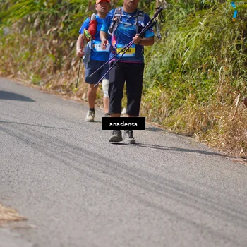 Runner Photo 5323148