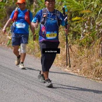 Runner Photo 5323149