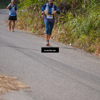 Runner Photo 5323212