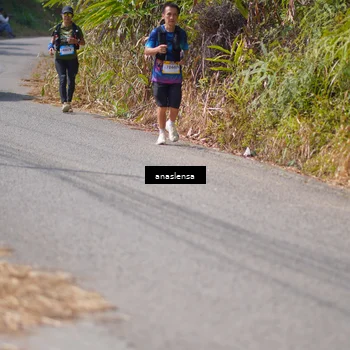 Runner Photo 5323425