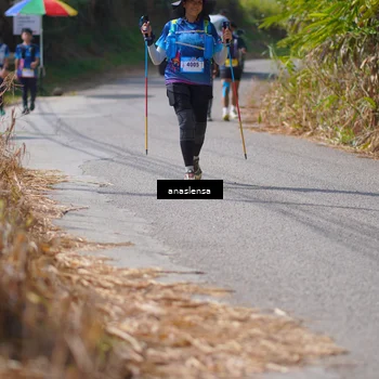 Runner Photo 5323431