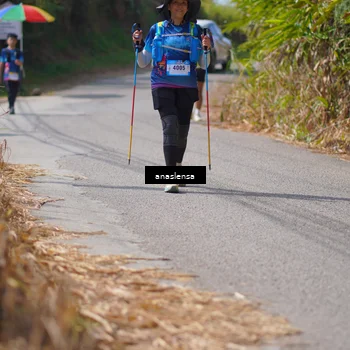 Runner Photo 5323638