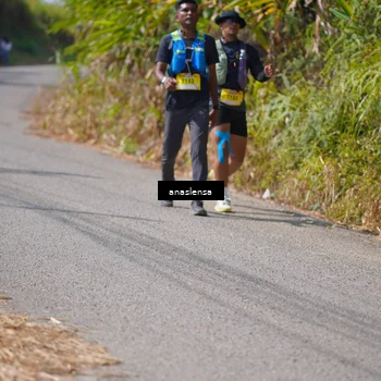 Runner Photo 5323743