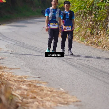 Runner Photo 5323765
