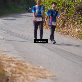 Runner Photo 5323787