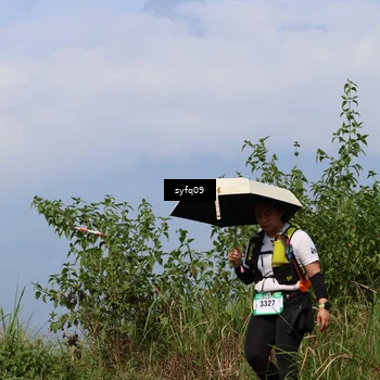 Runner Photo 5324056