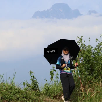 Runner Photo 5324231