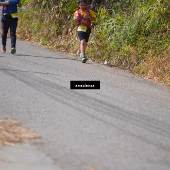 Runner Photo 5324459