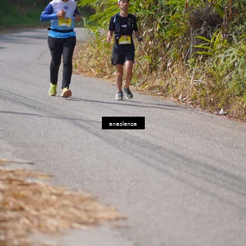 Runner Photo 5324591