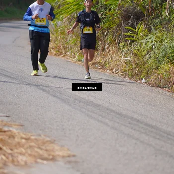 Runner Photo 5324596