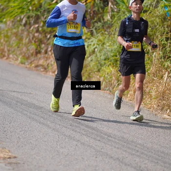 Runner Photo 5324712