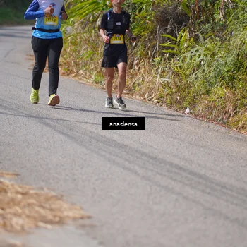 Runner Photo 5324722
