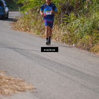 Runner Photo 5324749