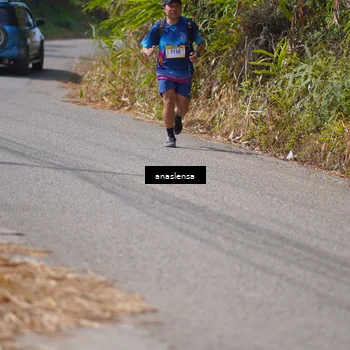 Runner Photo 5324751