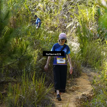 Runner Photo 5324843