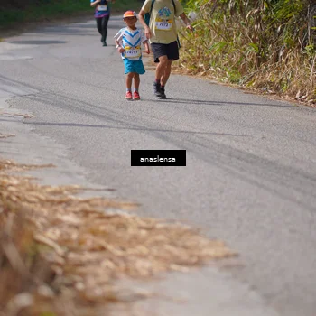 Runner Photo 5324888