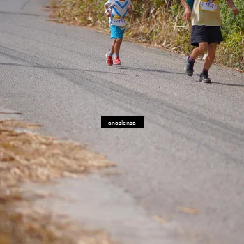 Runner Photo 5324904
