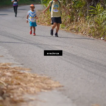 Runner Photo 5324908
