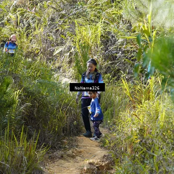 Runner Photo 5325280