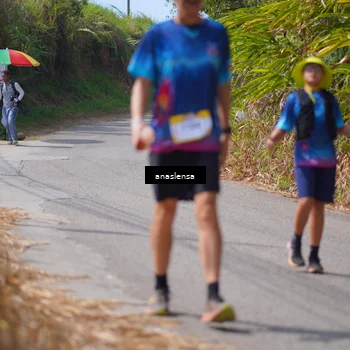 Runner Photo 5325857